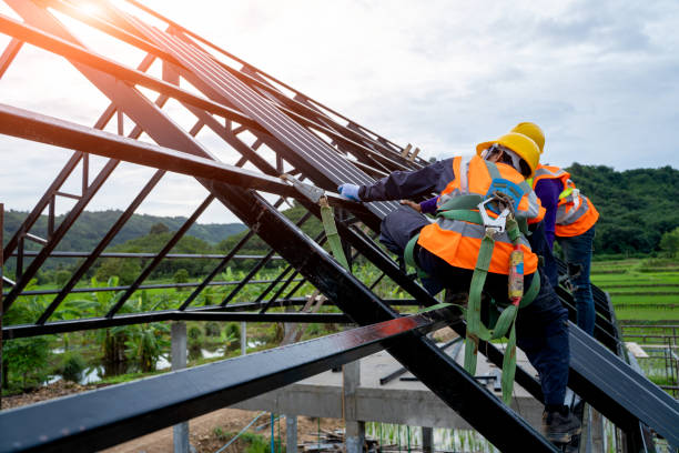Best Metal Roofing Contractor  in Pocahontas, IA