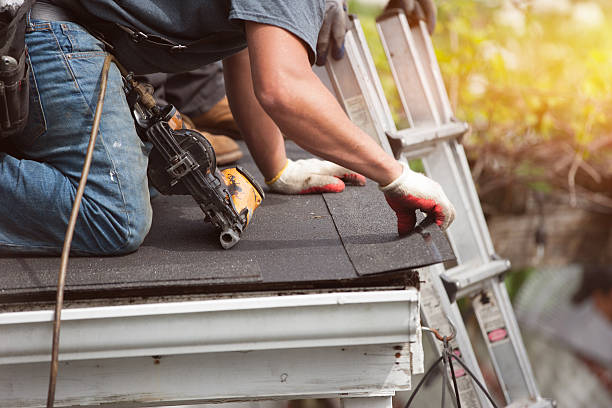Best Local Roofing Companies  in Pocahontas, IA